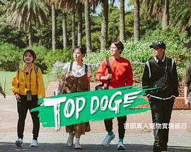 麻豆果冻传媒《TOP DOG》免费在线观看