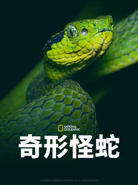 麻豆淫院《奇形怪蛇》免费在线观看